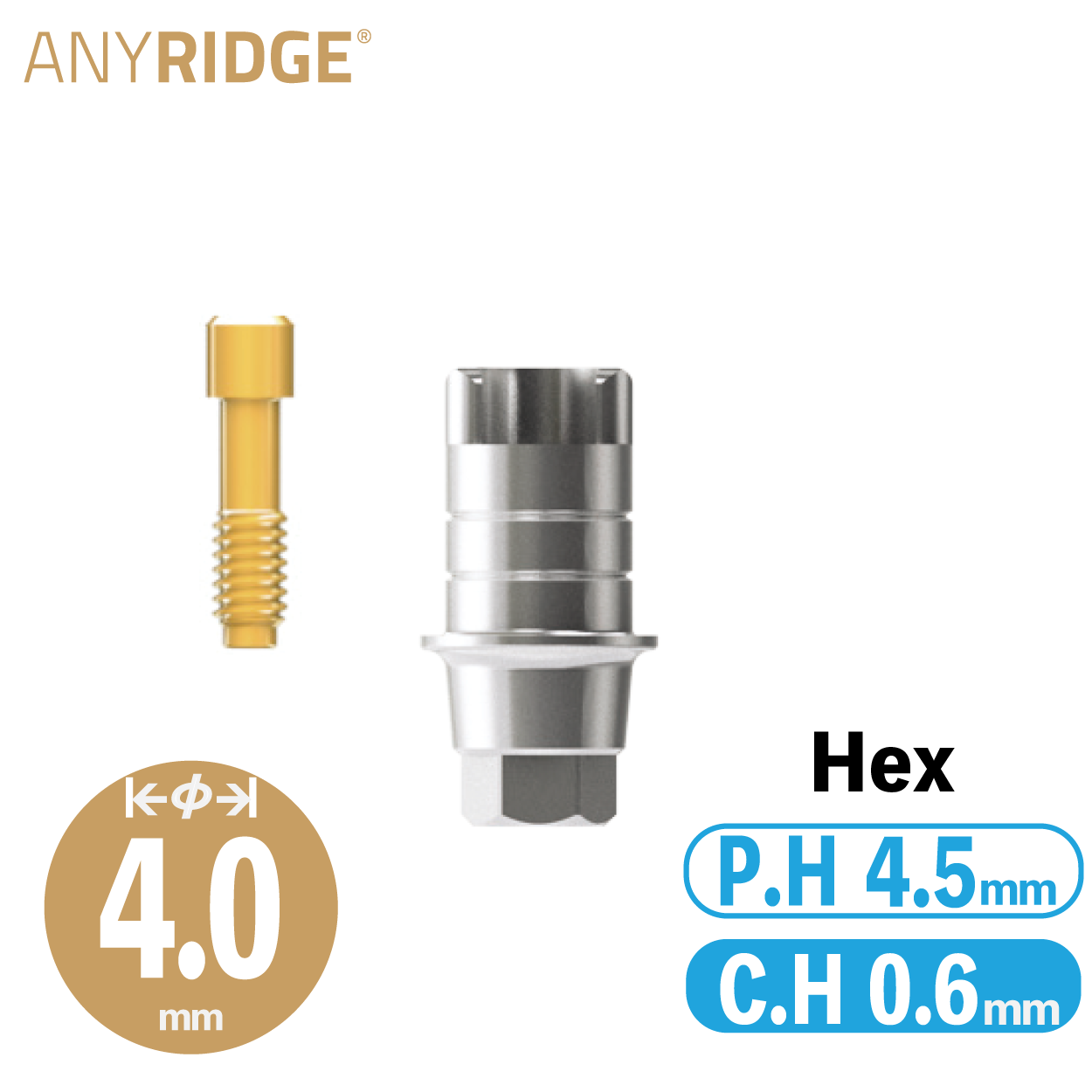 ZrGEN Abutment [AR] Ø4/ C.H=0.6/ P.H=4.5/ Hex