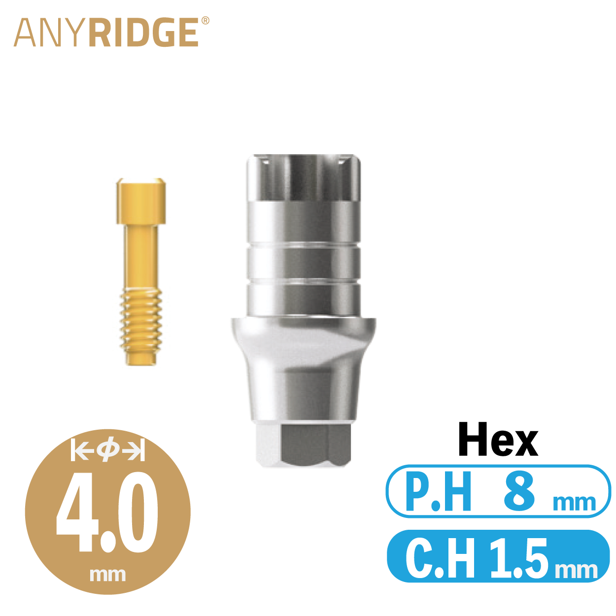 ZrGEN Abutment [AR] φ4/ C.H=1.5/ P.H=8/ Hex