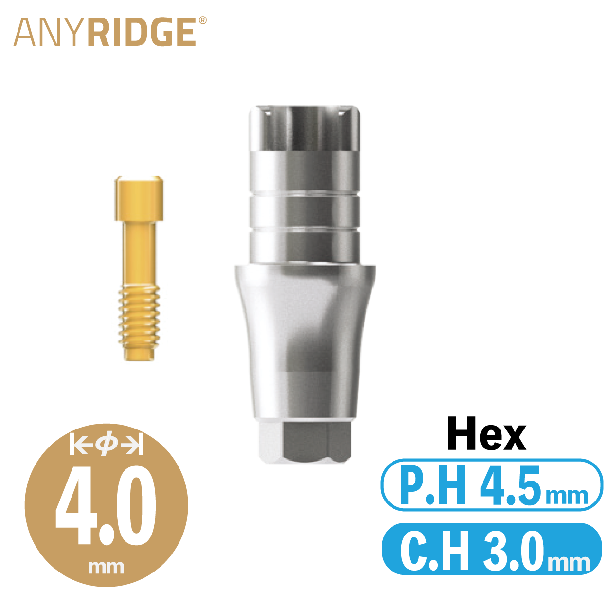 ZrGEN Abutment [AR] φ4/ C.H=3/ P.H=4.5/ Hex