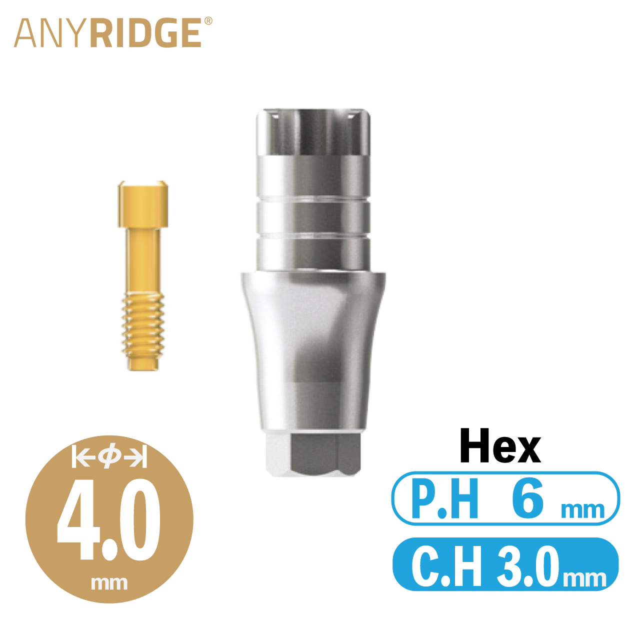 ZrGEN Abutment [AR] Ø4/ C.H=3/ P.H=6/ Hex