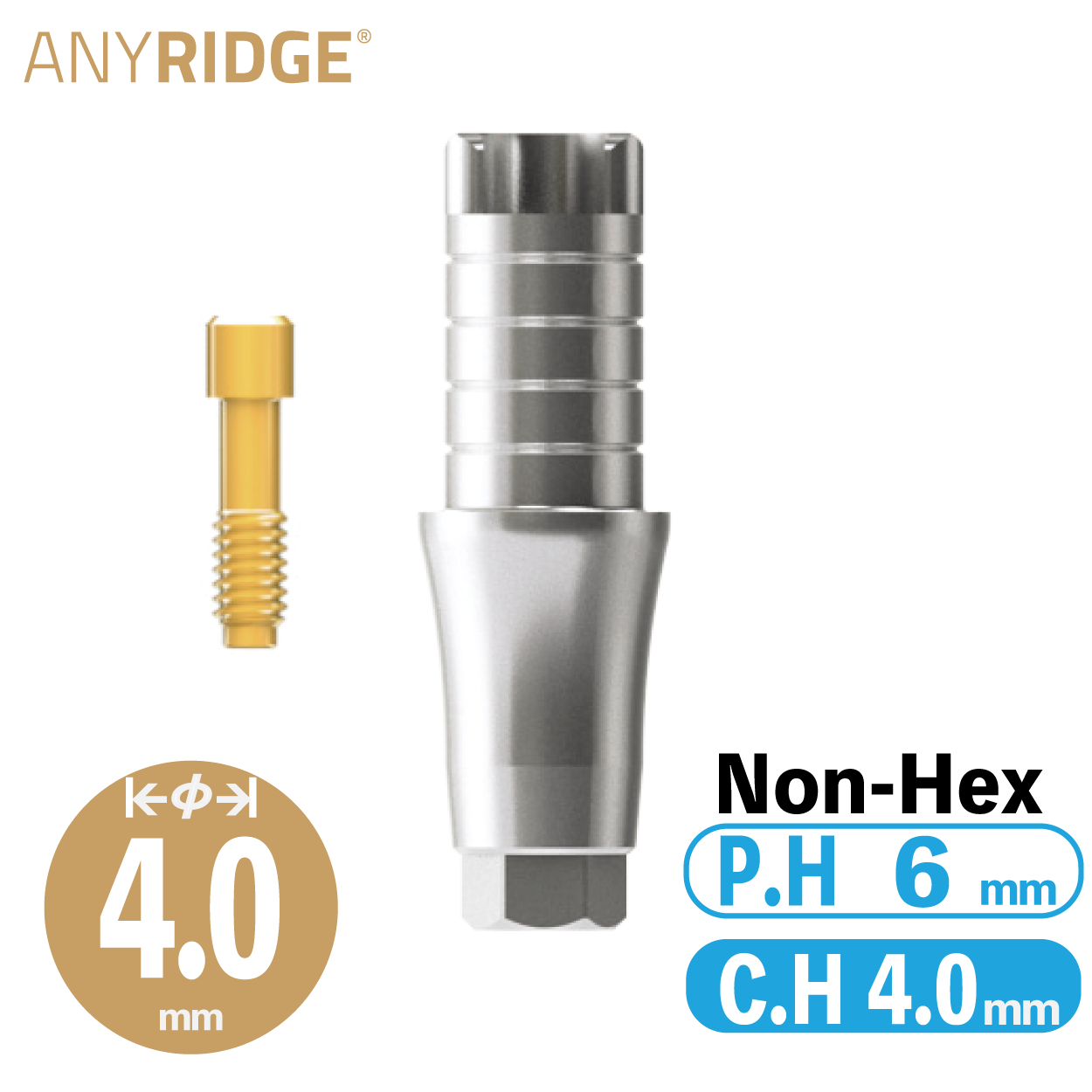 ZrGEN Abutment [AR] Ø4/ C.H=4/ P.H=6/ Non-Hex