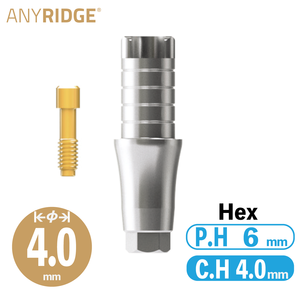 ZrGEN Abutment [AR] Ø4/ C.H=4/ P.H=6/ Hex