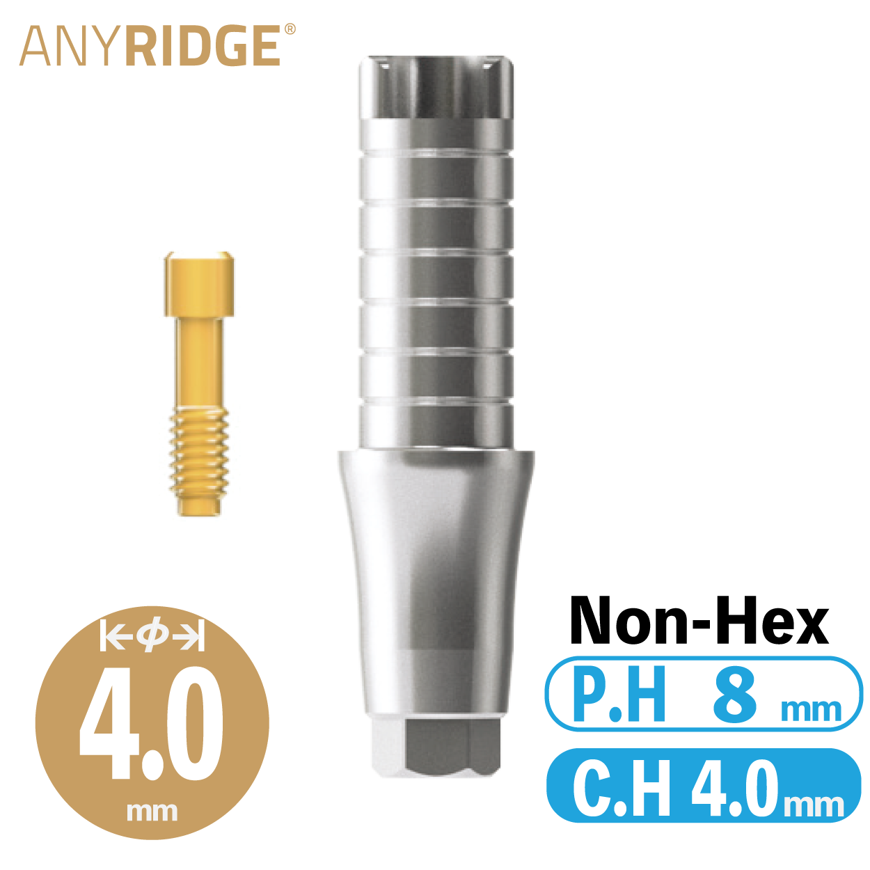 ZrGEN Abutment [AR]　Ø4/ C.H=4/ P.H=8/ Non-Hex