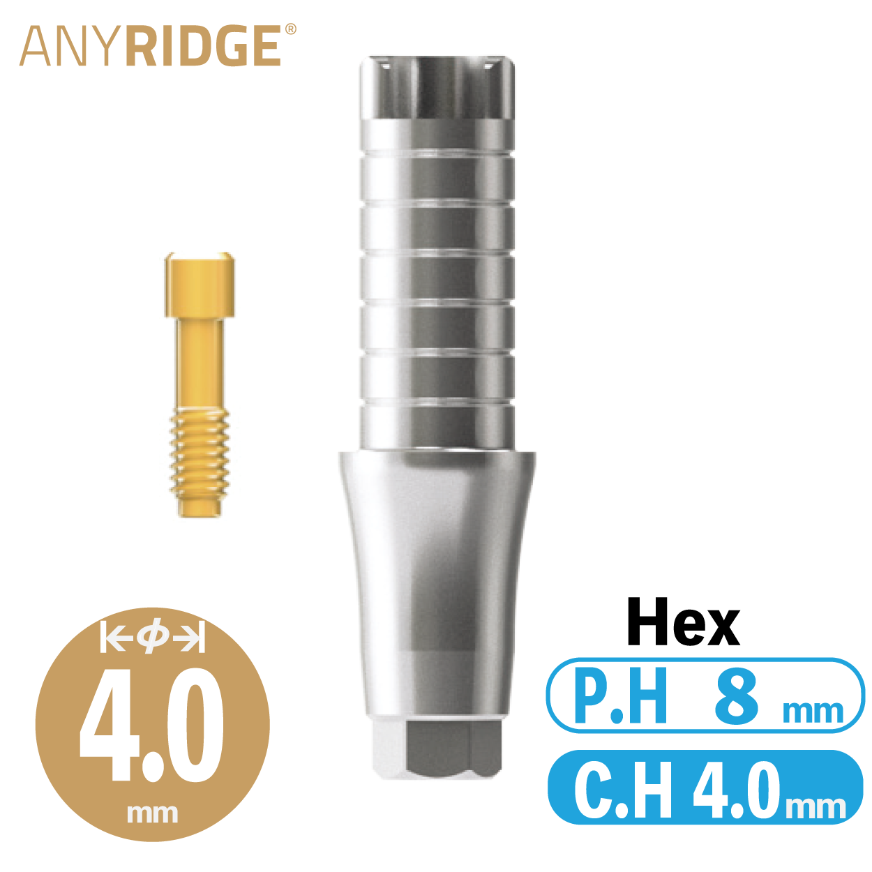 ZrGEN Abutment [AR] Ø4/ C.H=4/ P.H=8/Hex