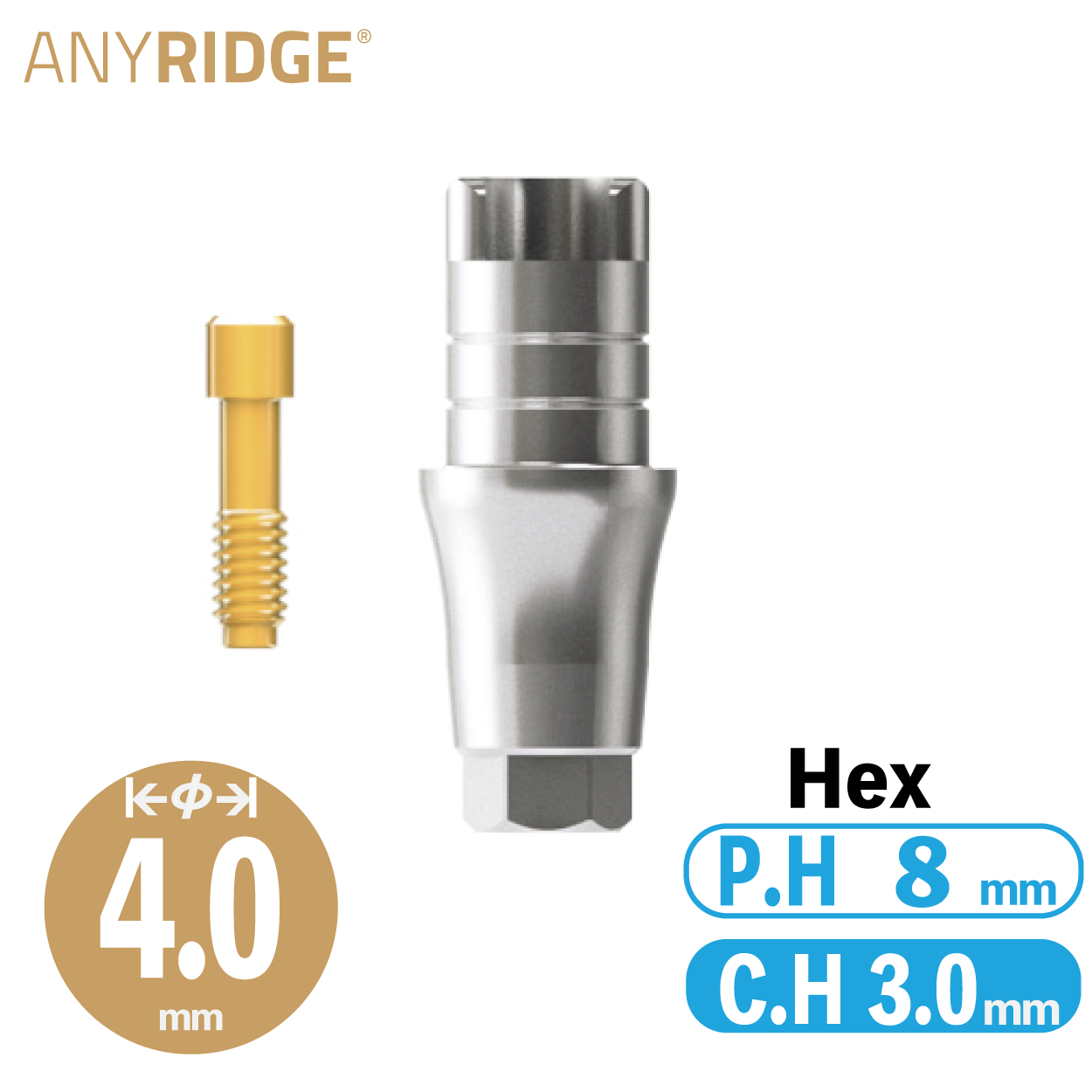 ZrGEN Abutment [AR]　Ø4/ C.H=3/ P.H=8/ Hex