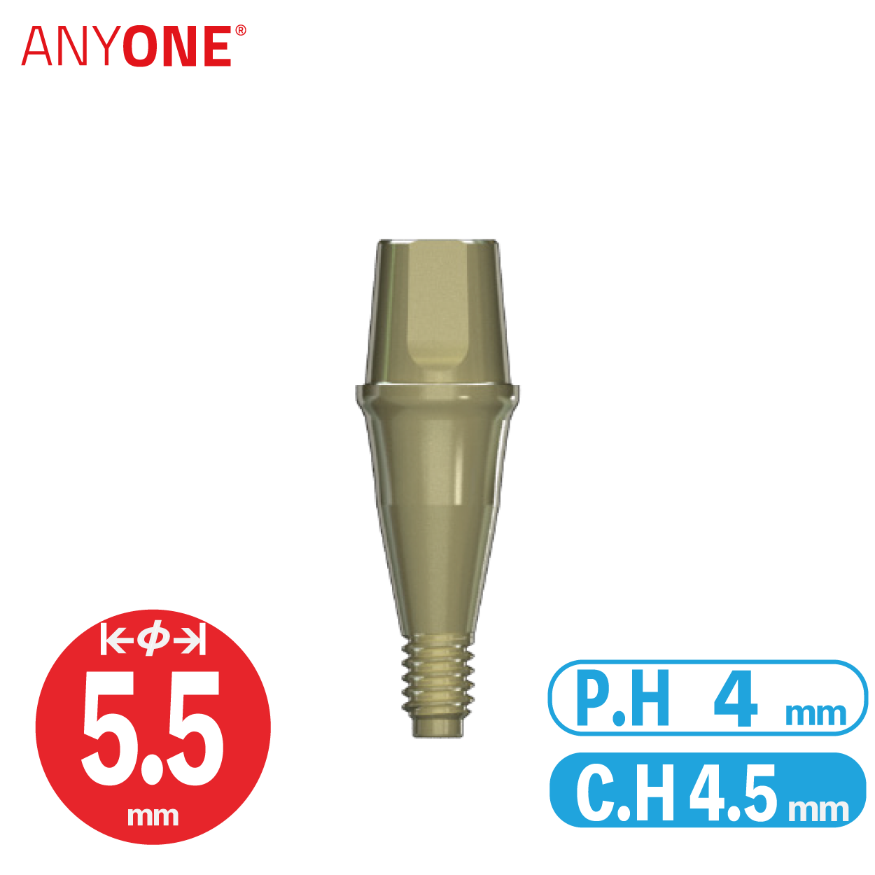 Solid Abutment [AO] Ø5.5/ C.H=4.5/ P.H=4