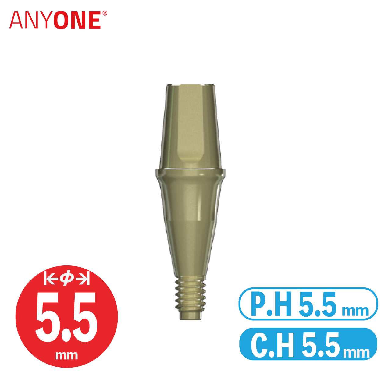 Solid Abutment [AO] Ø5.5/ C.H=5.5/ P.H=5.5