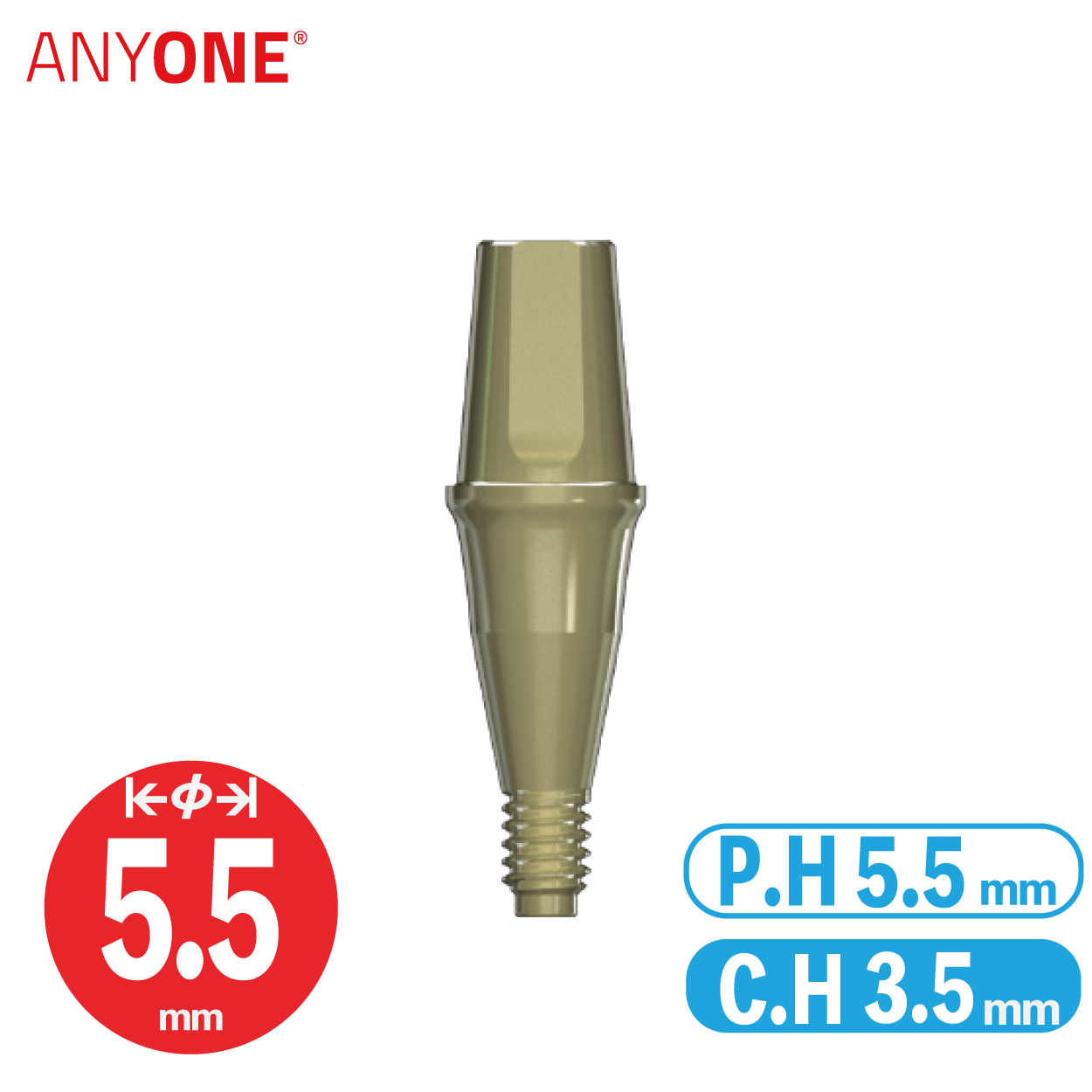 Solid Abutment [AO] φ5.5/ C.H=3.5/ P.H=5.5