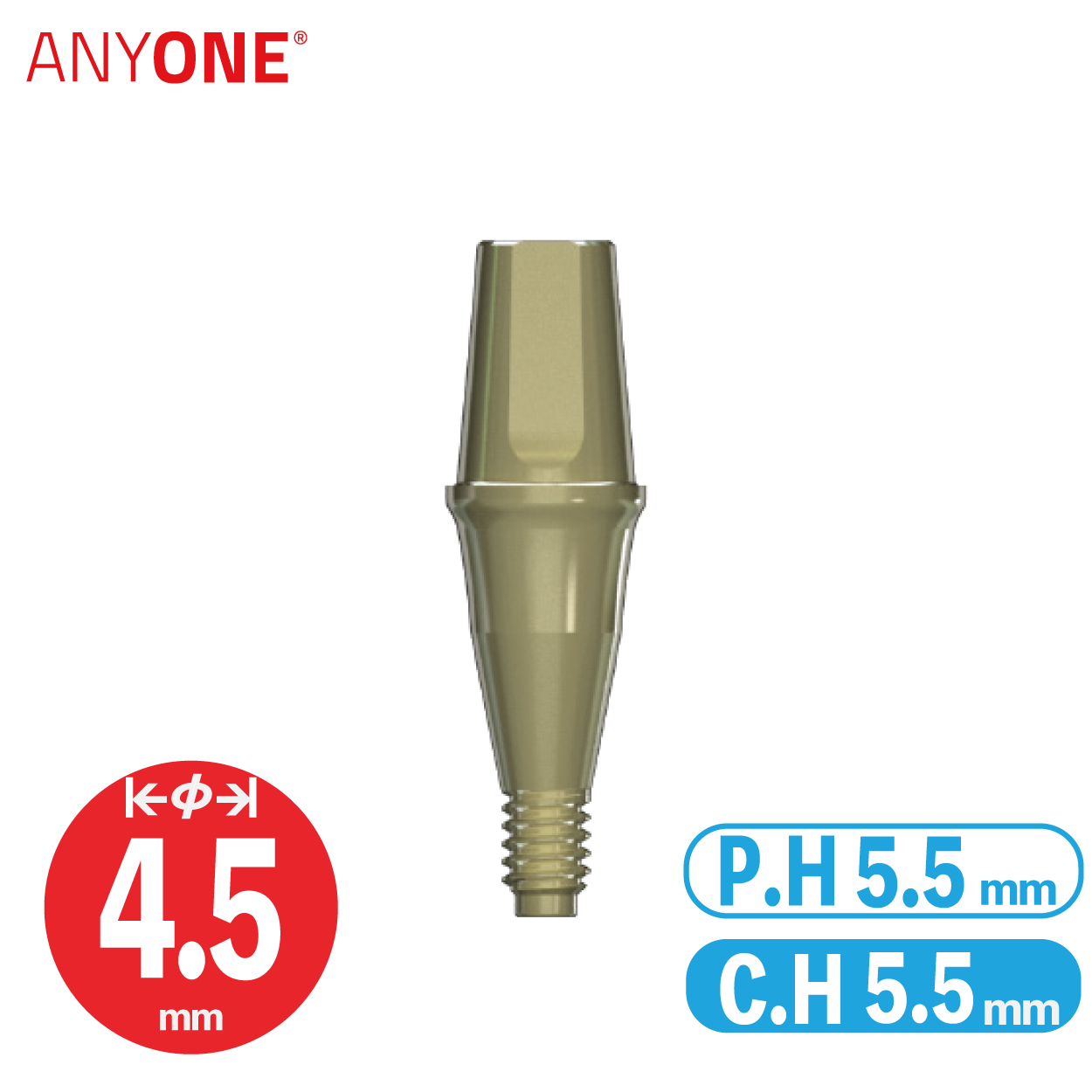 Solid Abutment [AO] Ø4.5/ C.H=5.5/ P.H=5.5