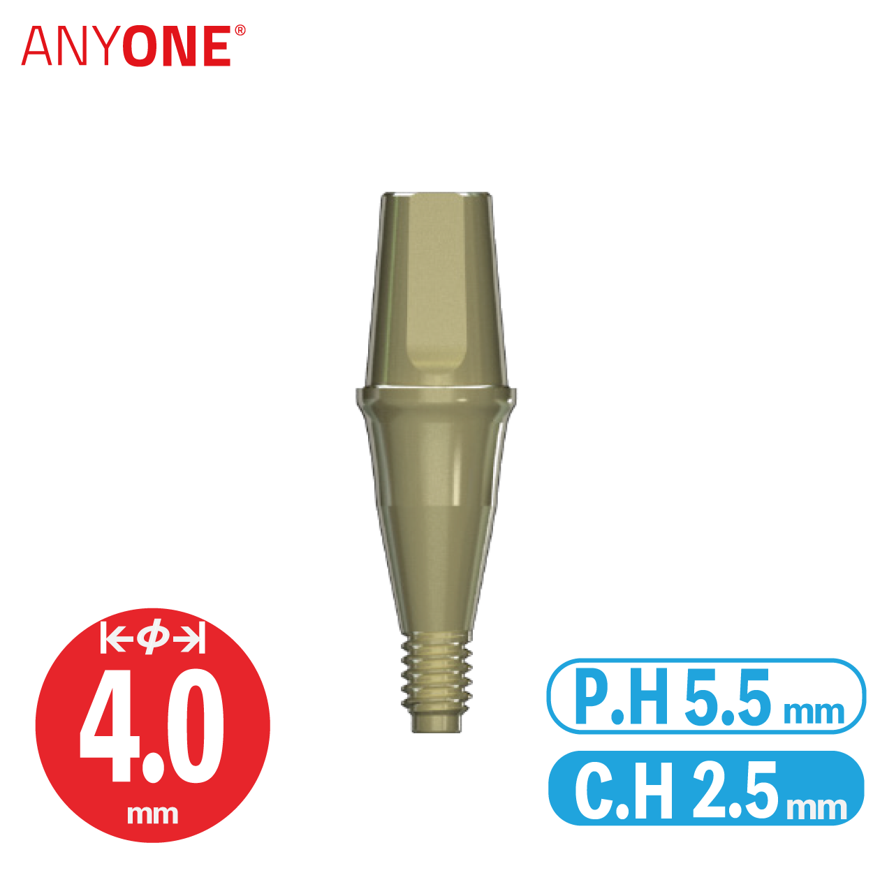 Solid Abutment [AO] Ø4/ C.H=2.5/ P.H=5.5