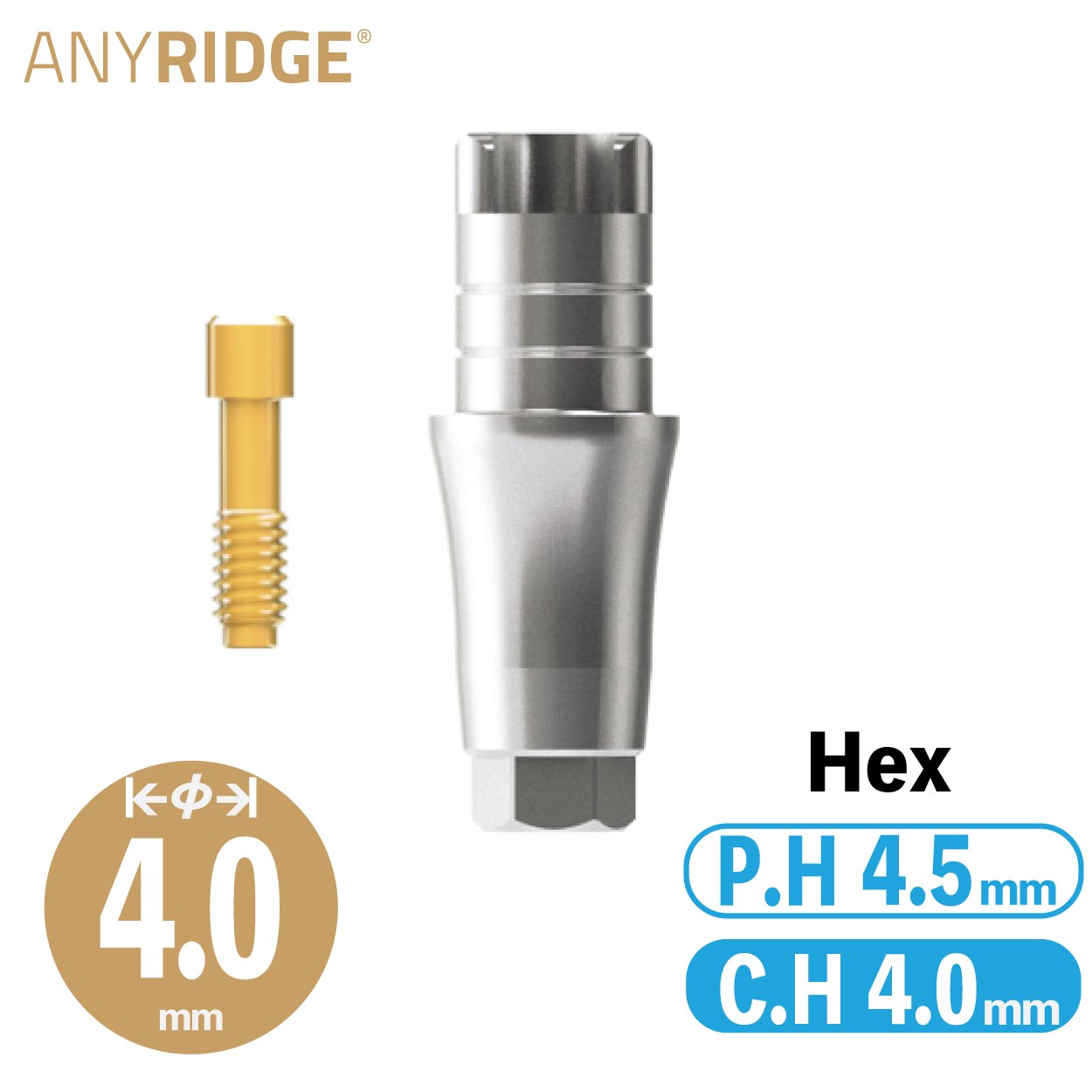 ZrGEN Abutment [AR] φ4/ C.H=4/ P.H=4.5/ Hex