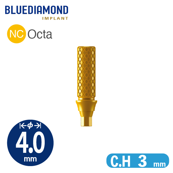 Temporary Abutment [BD] NC φ4.0 / C.H=3.0 / Octa